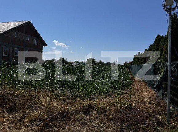 Teren de vânzare Exterior Est - 173584TV | BLITZ Satu Mare | Poza3