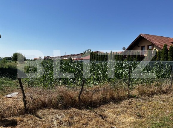 Teren de vânzare Exterior Est - 173584TV | BLITZ Satu Mare | Poza1