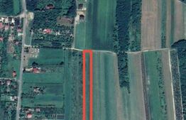 Teren de vânzare în Viile Satu Mare – Strada Oglinzilor, cu vedere spre pădure