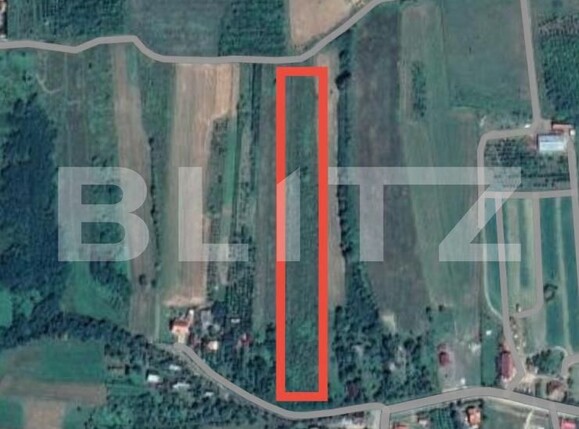 Teren de vânzare Viile Satu Mare - 173670TV | BLITZ Satu Mare | Poza1
