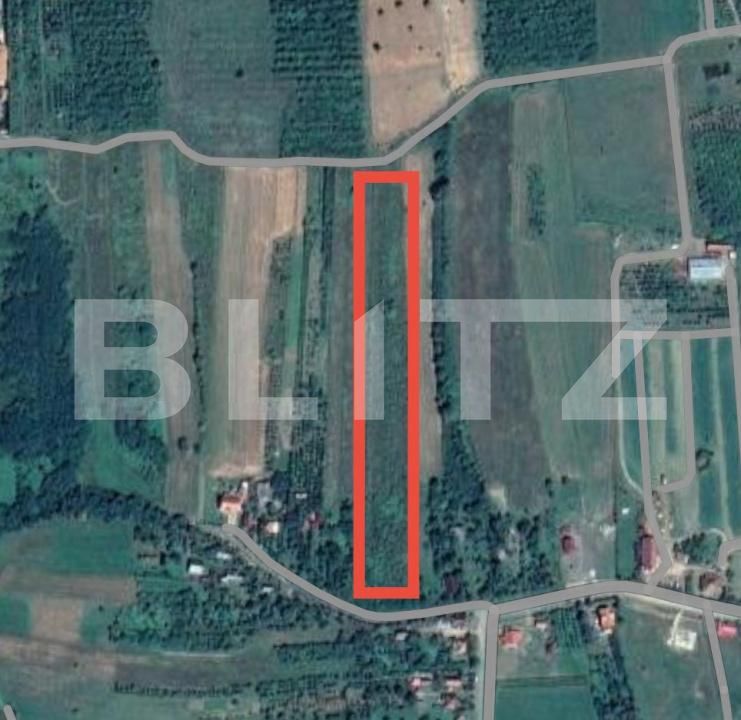 Teren de vânzare Viile Satu Mare - 173670TV | BLITZ Satu Mare | Poza1