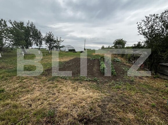 Casa de vânzare 2 camere Viile Satu Mare - 173751CV | BLITZ Satu Mare | Poza3