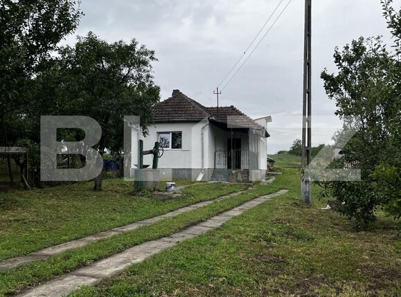 Casa de vânzare 2 camere Viile Satu Mare - 173751CV | BLITZ Satu Mare | Poza1