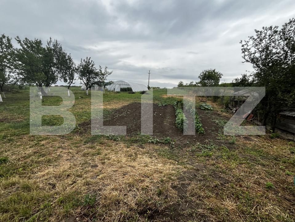 Casa de vânzare 2 camere Viile Satu Mare - 173751CV | BLITZ Satu Mare | Poza3