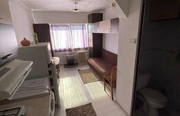 Garsoniera de vanzare, 19 mp, zona Carpați 1