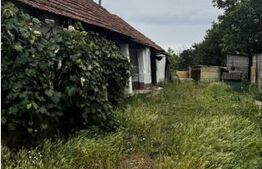 Teren de vânzare Periferie - 180418TV | BLITZ Satu Mare | Poza4