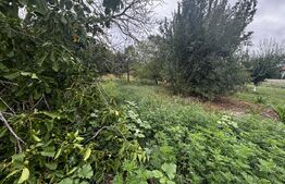 Teren 22ari în Martinesti