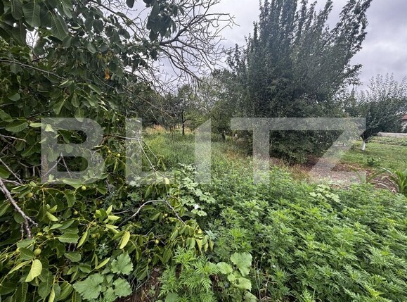 Teren de vânzare Exterior Est - 173771TV | BLITZ Satu Mare | Poza3