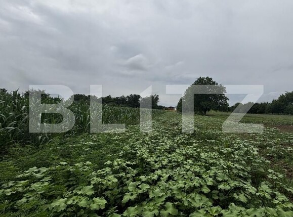 Teren de vânzare Exterior Est - 173771TV | BLITZ Satu Mare | Poza2