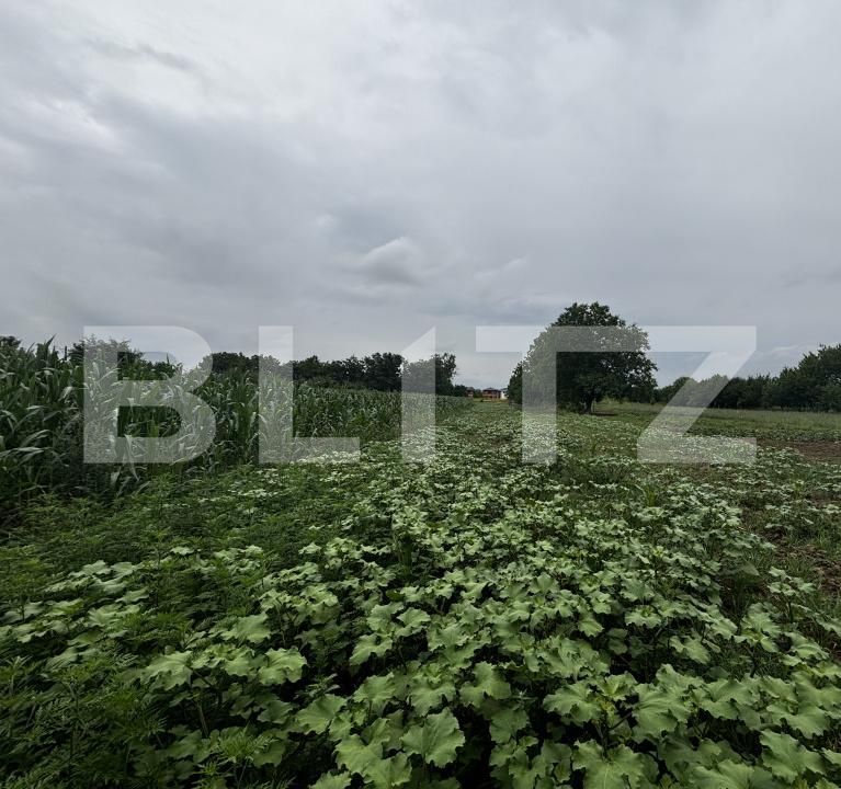Teren de vânzare Exterior Est - 173771TV | BLITZ Satu Mare | Poza2