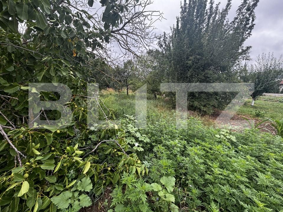 Teren de vânzare Exterior Est - 173771TV | BLITZ Satu Mare | Poza3