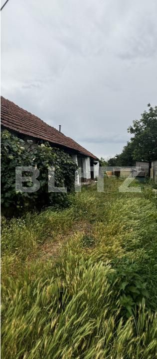 Teren de vânzare Exterior Est - 173771TV | BLITZ Satu Mare | Poza1