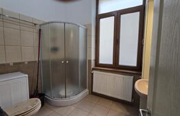 Apartament de vanzare, cu 3 camere, 116 mp, zona semicentrala