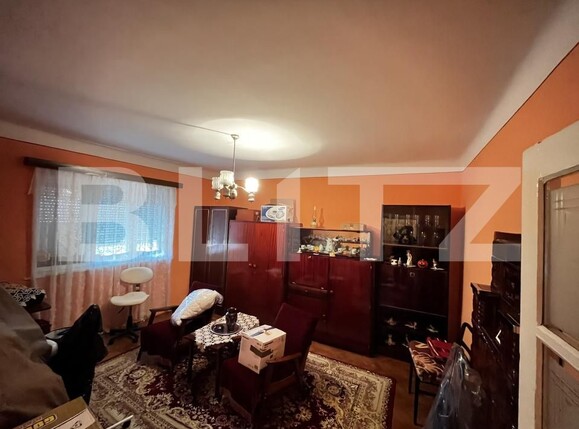 Casa de vânzare 3 camere Micro 14 - 173823CV | BLITZ Satu Mare | Poza8