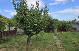 Casa 2 camere 50. mp. 500 mp teren. Zona Unio