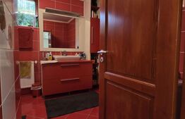 Casa 5 camere 240 mp  si teren 20 ari - Odoreu