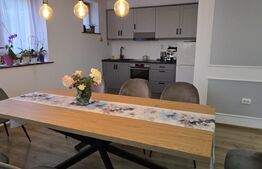 Casa 5 camere 240 mp  si teren 20 ari - Odoreu