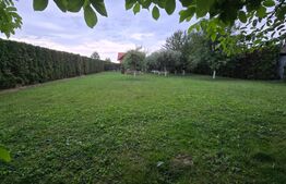 Casa 5 camere 240 mp  si teren 20 ari - Odoreu