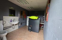 Casa 5 camere 240 mp  si teren 20 ari - Odoreu