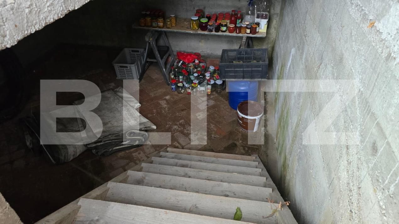 Casa de vânzare 5 camere Odoreu - 174056CV | BLITZ Satu Mare | Poza18