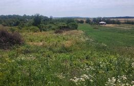 Teren intravilan Ardud Vii