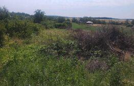 Teren de vânzare Est - 139309TV | BLITZ Satu Mare | Poza1