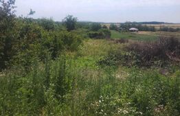 Teren intravilan Ardud Vii