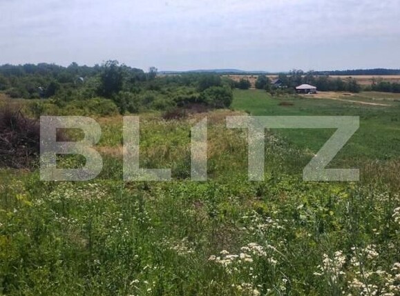 Teren de vânzare Ardud - 174195TV | BLITZ Satu Mare | Poza2