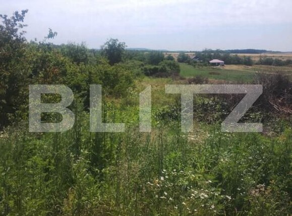 Teren de vânzare Ardud - 174195TV | BLITZ Satu Mare | Poza3