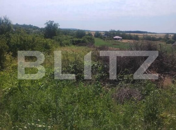 Teren de vânzare Ardud - 174195TV | BLITZ Satu Mare | Poza1