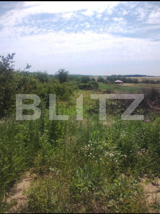 Teren de vânzare Ardud - 174195TV | BLITZ Satu Mare | Poza3