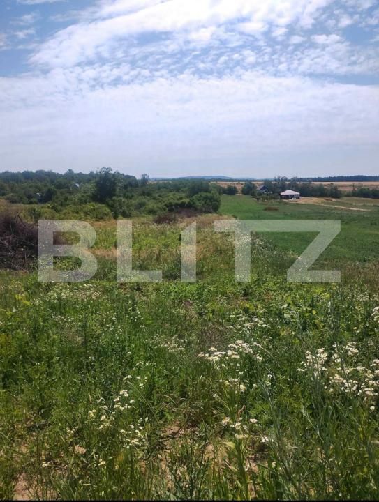 Teren de vânzare Ardud - 174195TV | BLITZ Satu Mare | Poza2