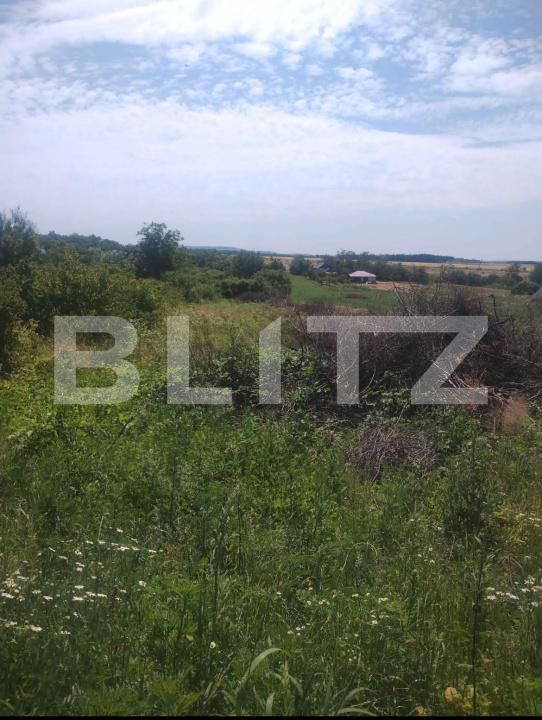 Teren de vânzare Ardud - 174195TV | BLITZ Satu Mare | Poza1