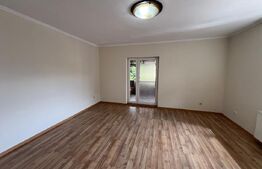 Spațiu de închiriat, 250 mp, zona Titulescu