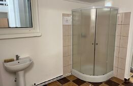 Spațiu de închiriat, 250 mp, zona Titulescu