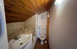 Spațiu de închiriat, 250 mp, zona Titulescu