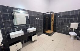 Spațiu de închiriat, 250 mp, zona Titulescu