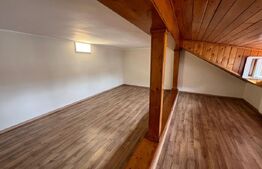 Spațiu de închiriat, 250 mp, zona Titulescu