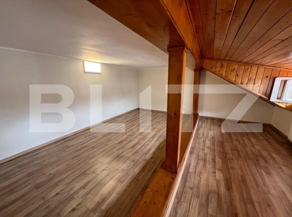 Spațiu comercial de închiriat Titulescu - 174427SIC | BLITZ Satu Mare | Poza11