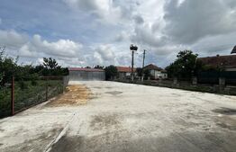 Casa de vanzare in Lazuri, ideala si pentru investitii