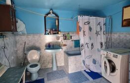 Casa de vanzare aproape de Drumul Careiului