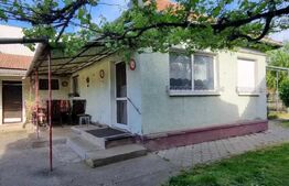 Casa de vanzare aproape de Drumul Careiului