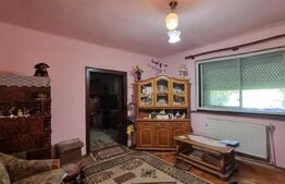 Casa de vanzare aproape de Drumul Careiului