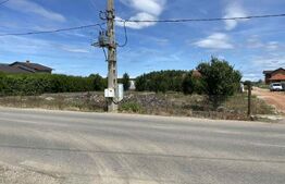 Teren de vanzare, 449mp, Botiz