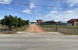 Teren de vanzare, 449mp, Botiz