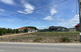 Teren de vanzare, 449mp, Botiz