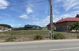 Teren de vanzare, 449mp, Botiz