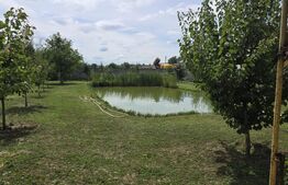 HOTEL / RESTAURANT YVETTE, de vanzare, 35 ari teren, zona Aurel Vlaicu