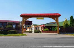 HOTEL / RESTAURANT YVETTE, de vanzare, 35 ari teren, zona Aurel Vlaicu