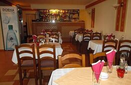 HOTEL / RESTAURANT YVETTE, de vanzare, 35 ari teren, zona Aurel Vlaicu